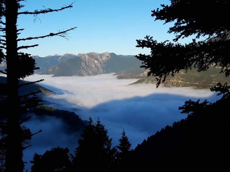 Omalia Village 埃诺克欧拉 外观 照片
